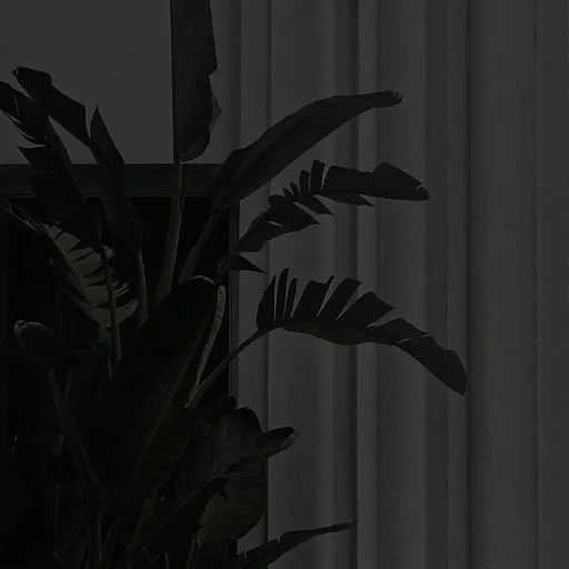 Sticker тг:womroom - 3