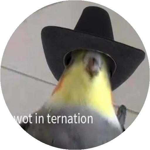 Sticker Птицы by @stickerus - 2