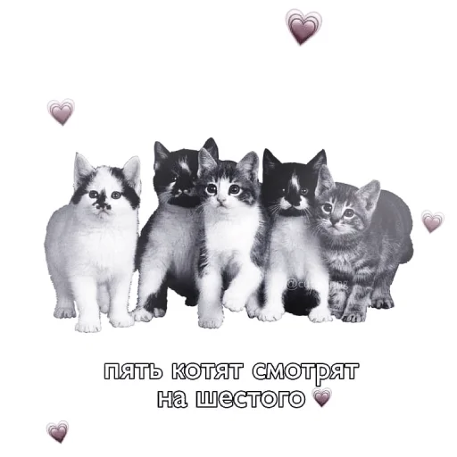 Sticker wonyoungbymell - 1