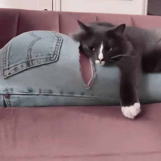 #wonyoung horny «🎧 by @lumicore_present - Человек