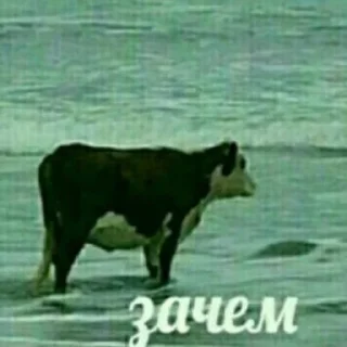 Sticker Нечего сказать - 10