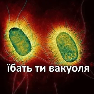 Sticker Світ в відрі - 11