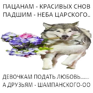 Sticker ВОЛК НЕ ВОРК - 6