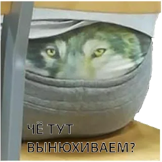 Sticker ВОЛК НЕ ВОРК - 2