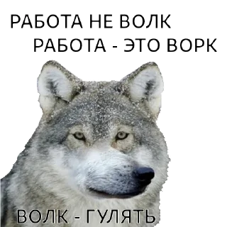 Sticker ВОЛК НЕ ВОРК - 8