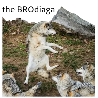 Sticker ВОЛК НЕ ВОРК - 10