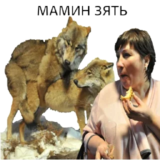 Sticker ВОЛК НЕ ВОРК - 3