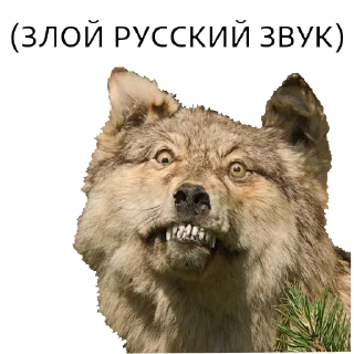 Sticker ВОЛК НЕ ВОРК - 1