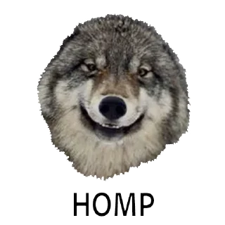 Sticker ВОЛК НЕ ВОРК - 4