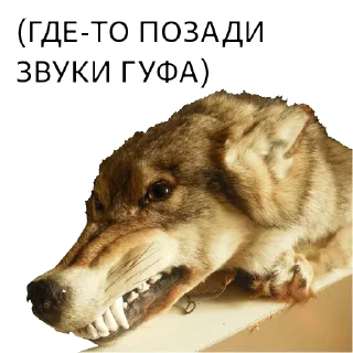 Sticker ВОЛК НЕ ВОРК - 11