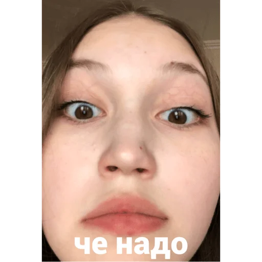 Sticker woshimama - 1