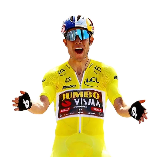 Sticker woutvanaert - 1
