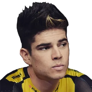 Стикер Wout van Aert - 2