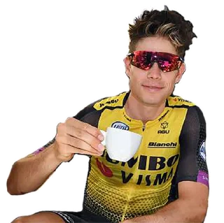 Стикер Wout van Aert - 8