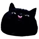 CAAAATS - животное