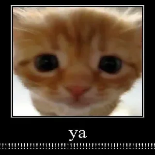 Sticker Сгенерировано в @stickers_generator_bot - 0