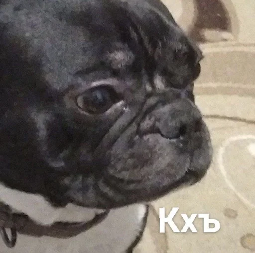 Sticker Писатели :: @fStikBot - 7