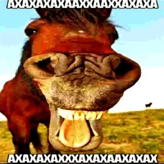 Стикер @wsdqz - 3