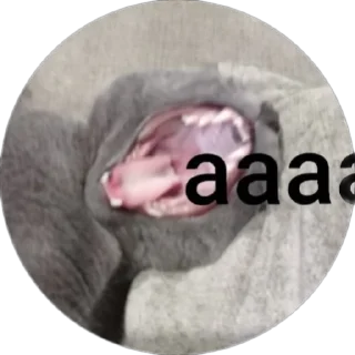 Sticker Макс (@hewipa) - 7