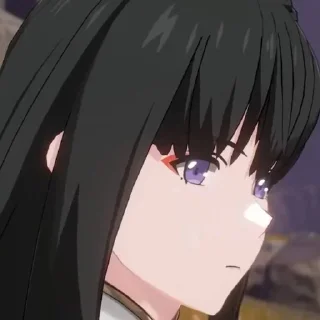 Стикер @wutheringwaves_ru - 9