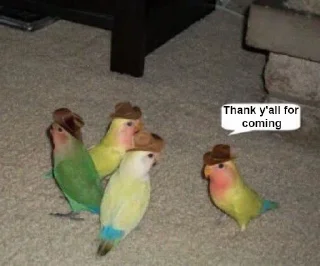 Стикер No escape - @sandu - 8