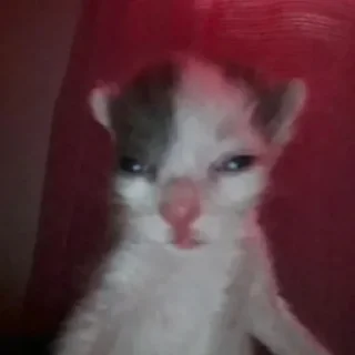 Стикер не надо дядя - 5