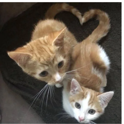 не надо дядя - 