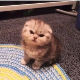 Стикер не надо дядя - 8