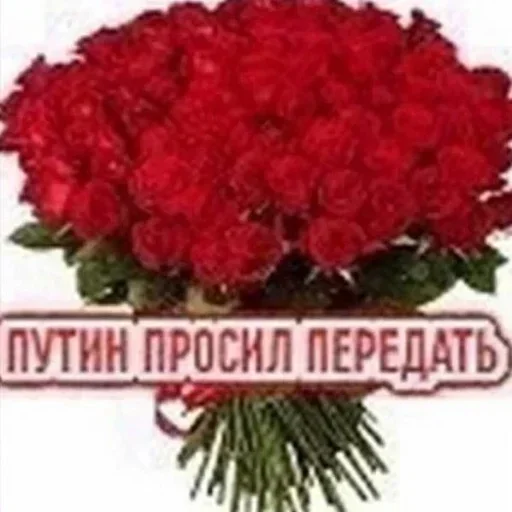 Больше стикеров 👉🏻 @stickertg4 - 