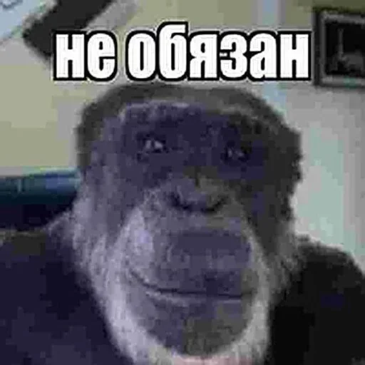 Sticker wyTiZmjNWSEOUyNVl_by_stickers_stealer_bot - 1