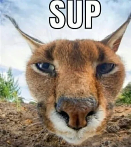 Sticker X1EZStickers - 4