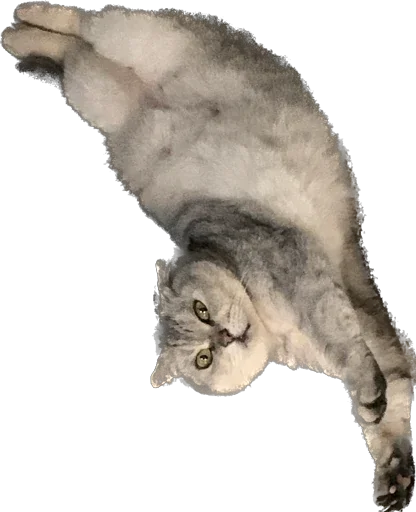 Sticker шмоня • @sticbot - 5