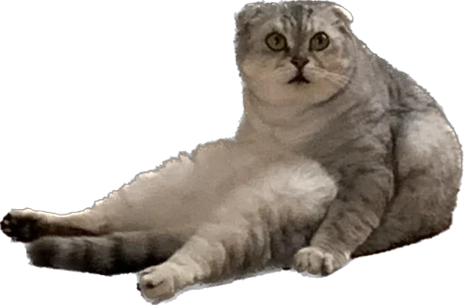 Sticker шмоня • @sticbot - 4