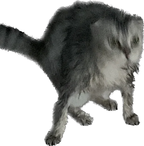 Sticker шмоня • @sticbot - 3