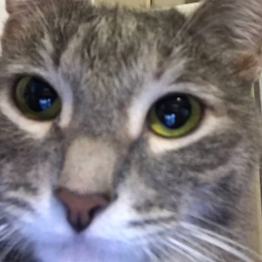 Sticker Стикеры@TgStickerRobot - 5