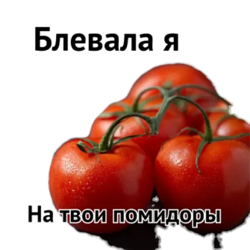 Стикер xEPQCJNkQcua_by_stqr_bot - 1