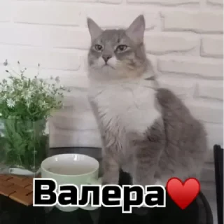 Sticker Борщ by @stqrapp - 3