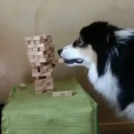 Sticker xEgkVdUzIJaL_by_stqr_bot - 1