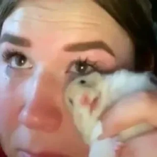 Sticker Not my animal by @stqrapp - 4