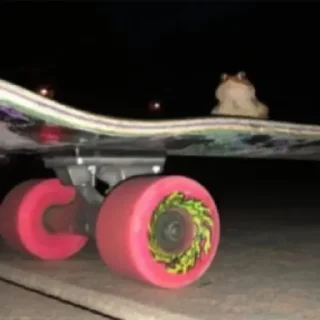 Sticker Not my animal by @stqrapp - 0