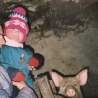 Sticker Not my animal by @stqrapp - 5