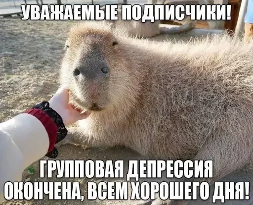 Sticker xFcpUZG_by_achestickbot - 1