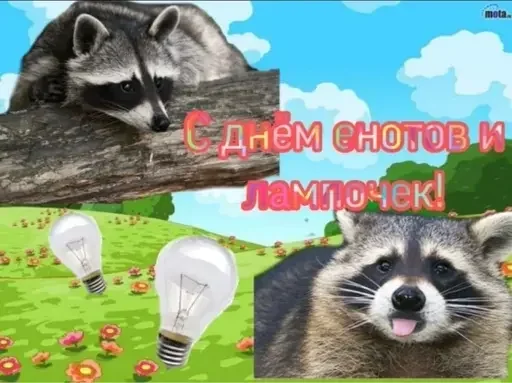 Sticker xFcpUZG_by_achestickbot - 1