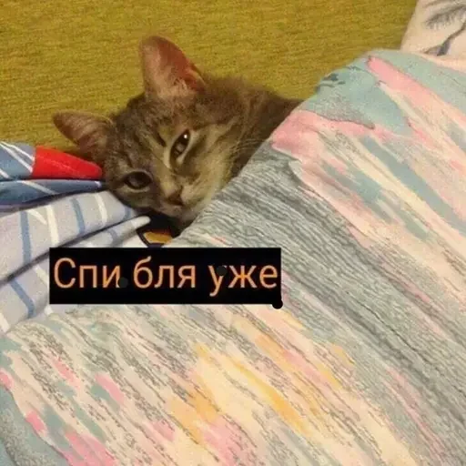 Sticker xFcpUZG_by_achestickbot - 1