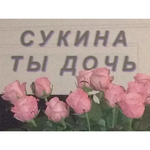 Sticker xFcpUZG_by_achestickbot - 1