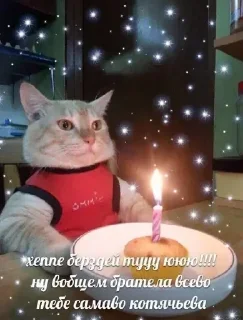 Sticker Больше стиков тут: @stikery4 - 7