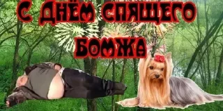 Sticker Больше стиков тут: @stikery4 - 1