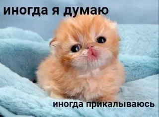 Sticker Больше стиков тут: @stikery4 - 6