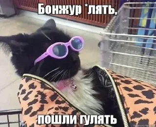 Sticker Больше стиков тут: @stikery4 - 3