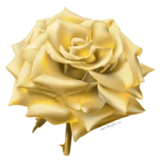 Sticker Больше стиков тут: @stikery4 - 4